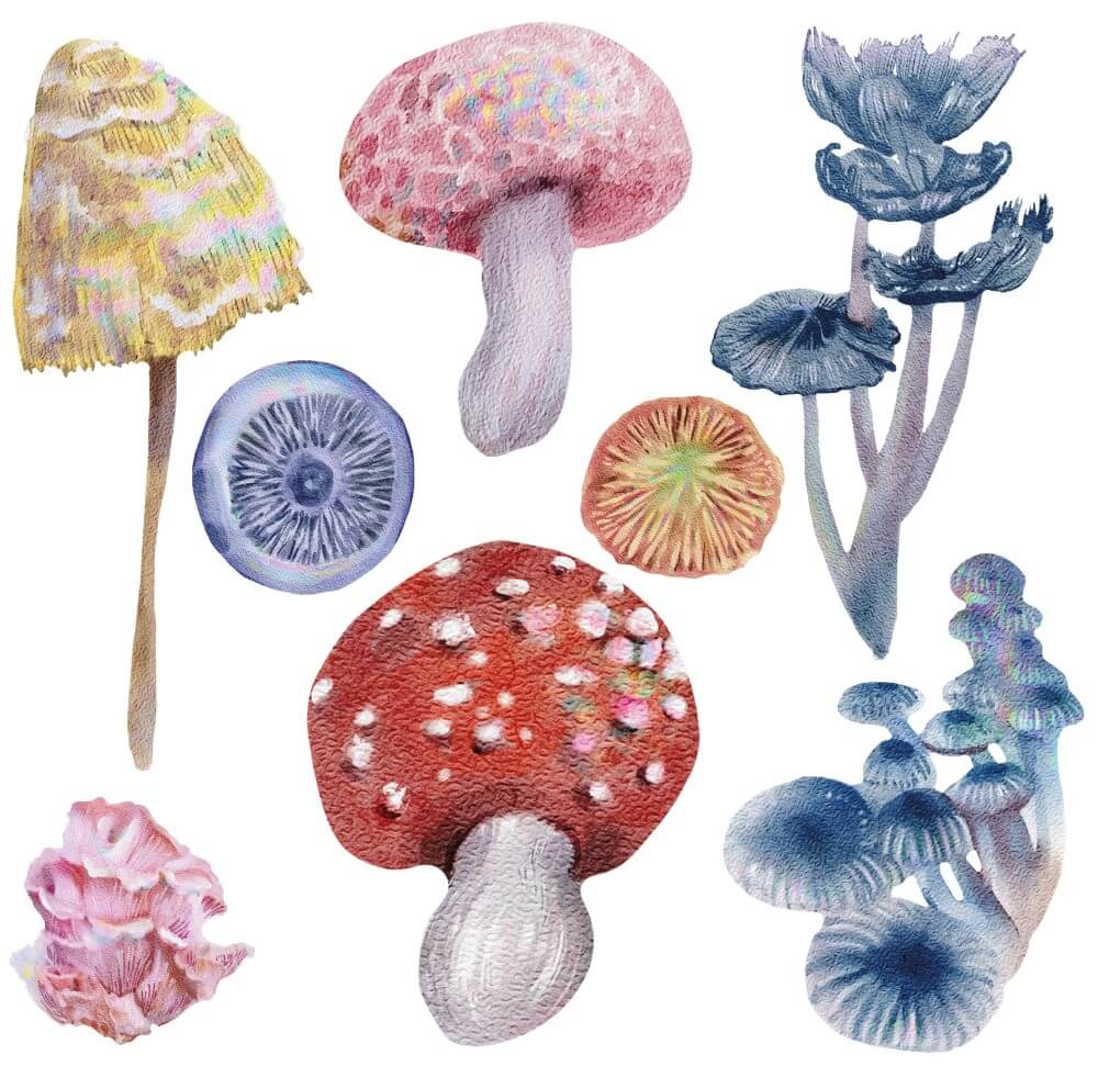 Deko Transferfolie Magic Mushrooms Petite