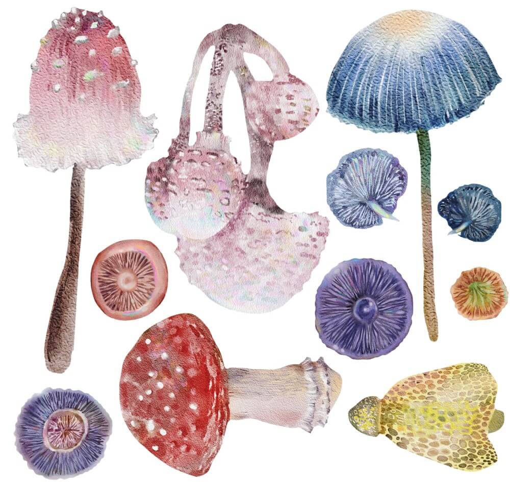 Deko Transferfolie Magic Mushrooms Petite